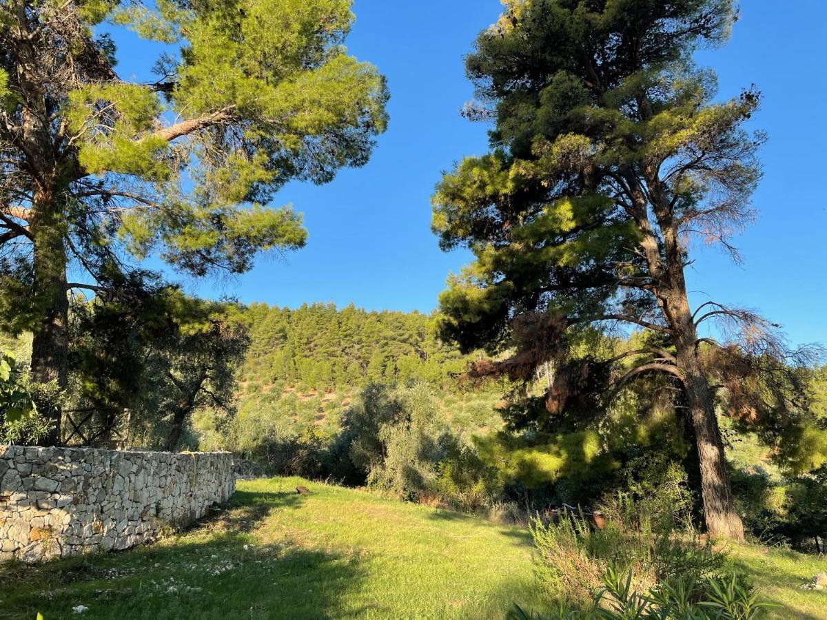 Novecento Country House Vieste Exterior foto