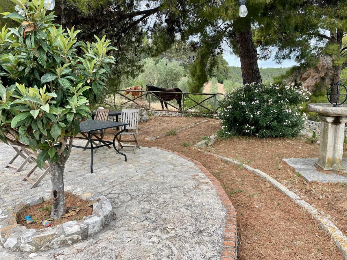 Novecento Country House Vieste Exterior foto