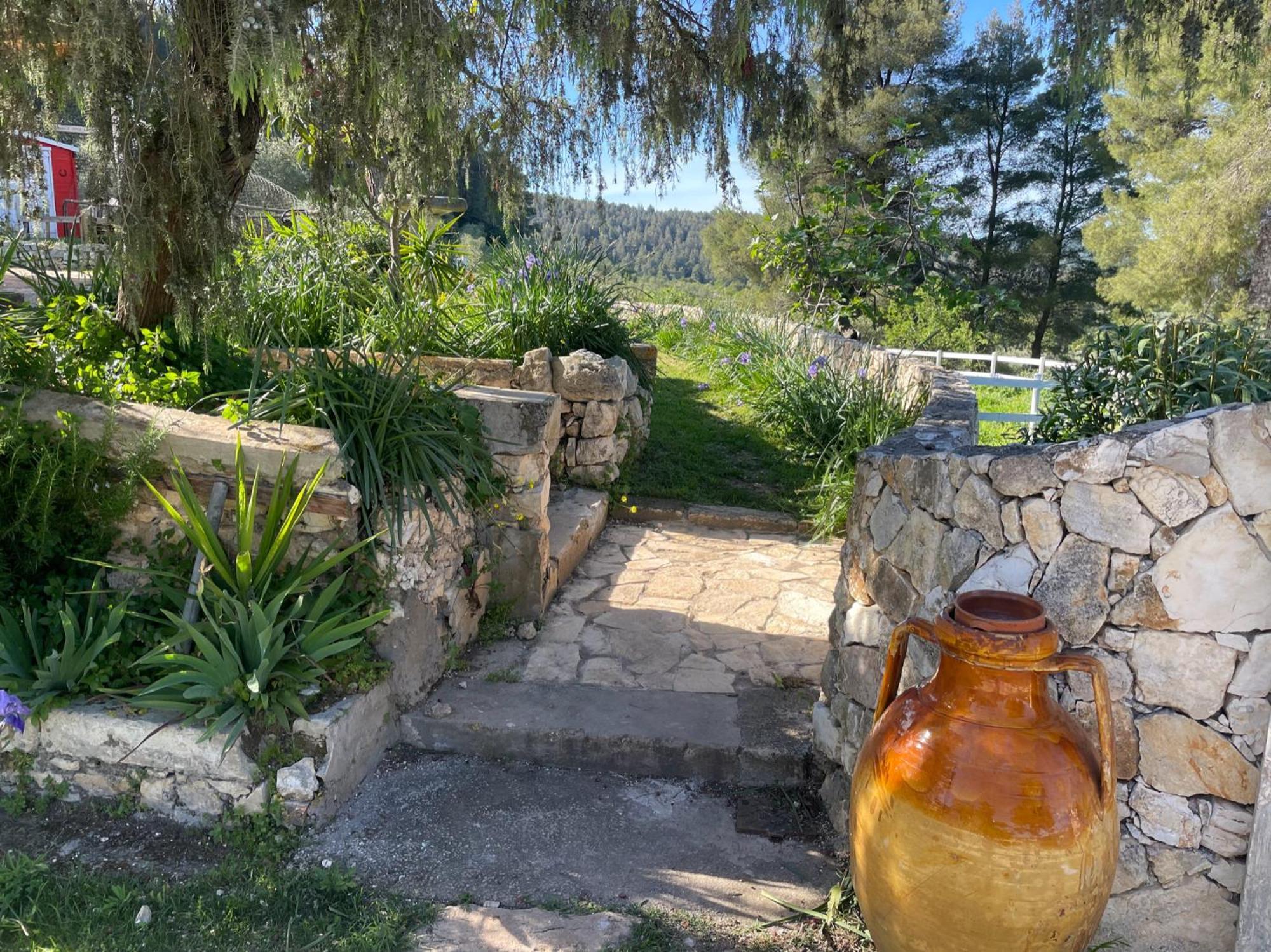 Novecento Country House Vieste Exterior foto